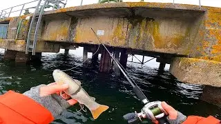 Je pêche dans un puit de pétrole ! ft.@Bar D'écume