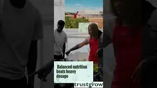 Useful Tips for Successful Farming | Smart Farming Practices for Better Yield 🌾