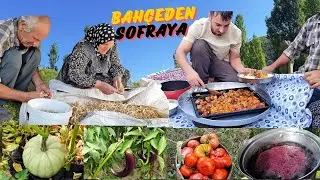 KÖY BAHÇESİNDEKİ ÜRÜNLERİMİZ / BU SEFER ŞEF ABİM