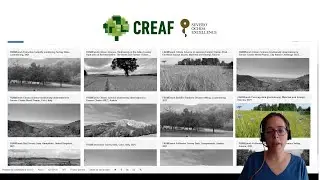 Using the Biodiversity Data Hub: Introduction to key features