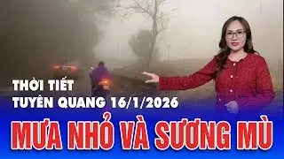 Thời tiết Tuyên Quang đêm 15 ngày 16/1/2026
