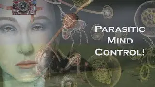 Parasitic Mind Control | Zombies are real!