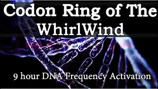 Gene Keys - Codon Ring of The Whirlwind - 9 Hours of DNA Frequency Activation - Black Screen Fade 🧬✨