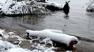 4K Relaxing Dreamy Winter Music - Snowy Forest - Winter Landscapes