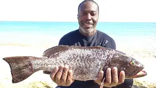 Today i Catch, My Dream Fish | Yellow Fin Grouper