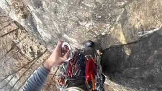 Powerlinez Papa Bear Trad Lead