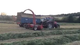 Silage 2015