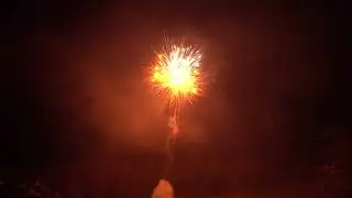Vulcan - 07 - Aqua & Orange Star Bombard with Gold Tail - Product ID- BF10 25S 07