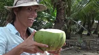 SAIL JOANA SPECIAL - Sail The Pacific Coast Of Colombia With Us In Jan / Feb 2019