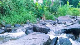 Natural River Sounds for Calm Breathing