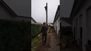 EMBO - bomen vellen met afvangtechnieken en klimtechnieken