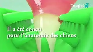 La brosse &agrave; dents jouet pour garder les dents propres !720p md2