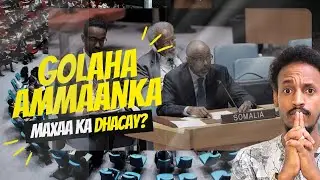 170 | Maxaa ka dhacay Qaramada Midoobay Goleheeda Ammaanka?