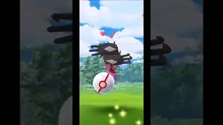 Win EX RAID GYM And CAUGHT Legendary Pokemon Yveltal 2675CP 👌