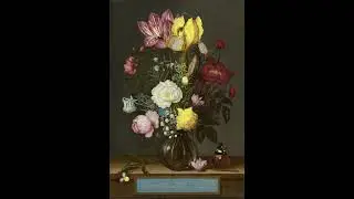 Bouquet of Flowers in a Glass Vase Music by Miguel Feij&atilde;o #shorts #music #baroque