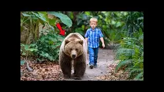 Baby Found a Lost Bear Cub and Followed him  What happened next put everyone in Tears 😭   Cheesy St