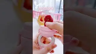 use a baby fresh fruit food feeder Pacifier as a teething toy?