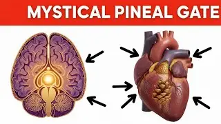 Celestial Emperor  -777-  PINEAL GLAD