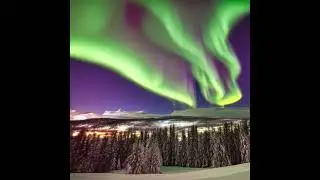 Gold Soul Leo   Northern Lights