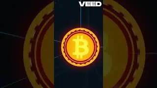 Bitcoin vs. Gold: Understanding Scarcity and Its Impact on Value