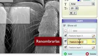 Speaking Image - Aprende a usar las capas