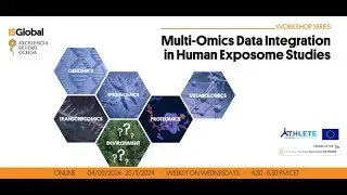 Multi-Omics Data Integration in Human Exposome Studies - Session 4 - Framework For Precision Health