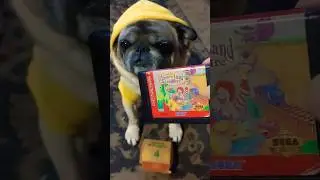 Wug McLunch 🍟🥤- Remix #pugs #mcdonalds #sega