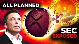 Truth about XRP cashless society #bitcoin #xrp #shibainu dappt REVAIN coin #trading   Alert #crypto