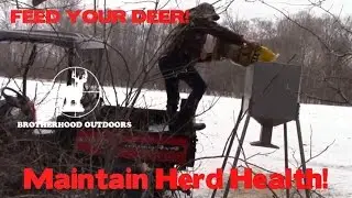Feeding Your Deer To Get Them Through the Winter! Maintaining Herd Health!
