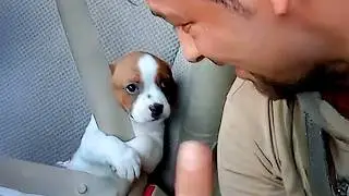 When Your Dog Realizes Your Boyfriend Is the Better Human 😂