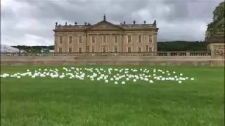 Alitex Greenhouses at RHS Chatsworth Flower Show 2017 | Alitex Events | Alitex