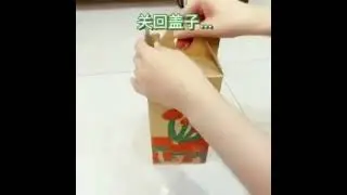Mushroom LAB DIY蘑菇种植🍄Fun Science🍄