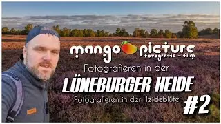 FOTOGRAFIEREN zur HEIDEBL&Uuml;TE in der L&Uuml;NEBURGER HEIDE | Folge 2/3 📷 | Mango Picture 4K