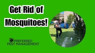 Mosquito Control Plano, TX: How to Get Rid of Mosquitoes in Plano, TX #PreferredPestManagement