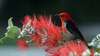 nature beauty amazing nature#alpharadius