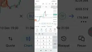 5  forex lot managment Sl 1%