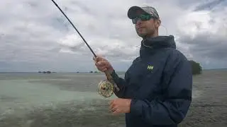 Bonefish on the fly in Guadeloupe FWI