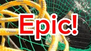Grueling Day and FOUND THIS! #fishing #fish #viral #fishinglife #fyp 