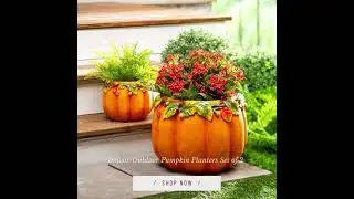Shop The Look l Fall Decoration l Decorate With Style  #shorts