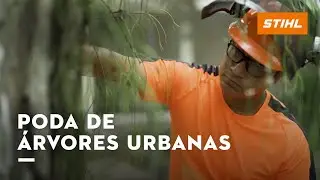 Por que PODAR UMA ÁRVORE | com Sydney Brasil