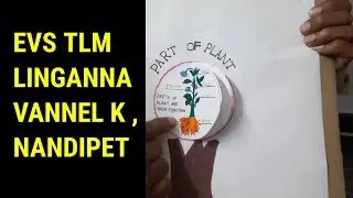 Tlm | tlm tlm | low cost tlm | EVs tlm | tlm for primary school | primary school tlm | 
