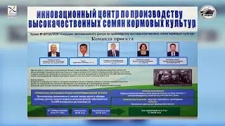 ролик 
