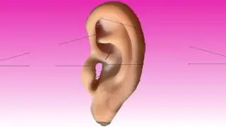 How does stereo sound work?