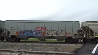 CN Northbound Mixed Train 3 10/21/23 Spencer, WI