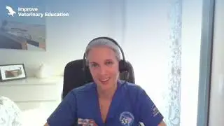 GPCert en Cirug&iacute;a de peque&ntilde;os animales