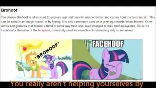 THE REAL TOP TEN REASONS WHY BRONIES SUCK