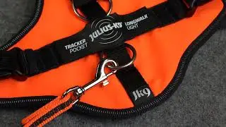 Julius-K9 Presents the JK9 Longwalk Light Harness with Molle System
