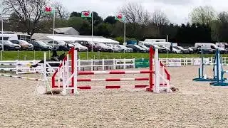 Cuckoopen Kite wales and west April mixed show