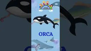 Sea Animals Names | Ocean Animals Names | English Vocabulary for Kids |  #learnanimalnamesandsounds