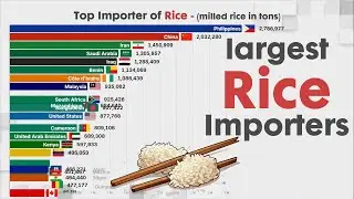 Largest Importers of Rice in the world